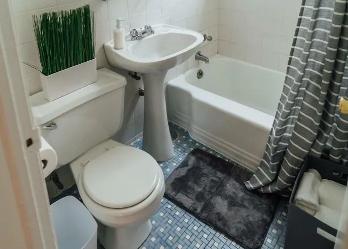 1br Modern In The Heart Of The - Marshfield G Chicago