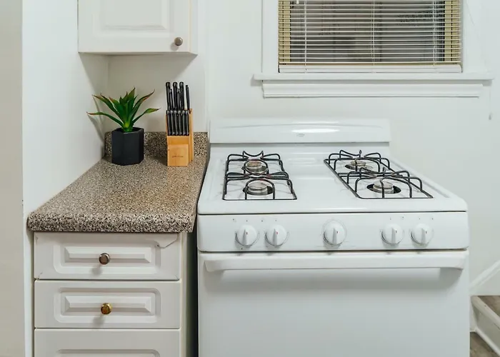 1br Modern In The Heart Of The - Marshfield G Apartment Chicago